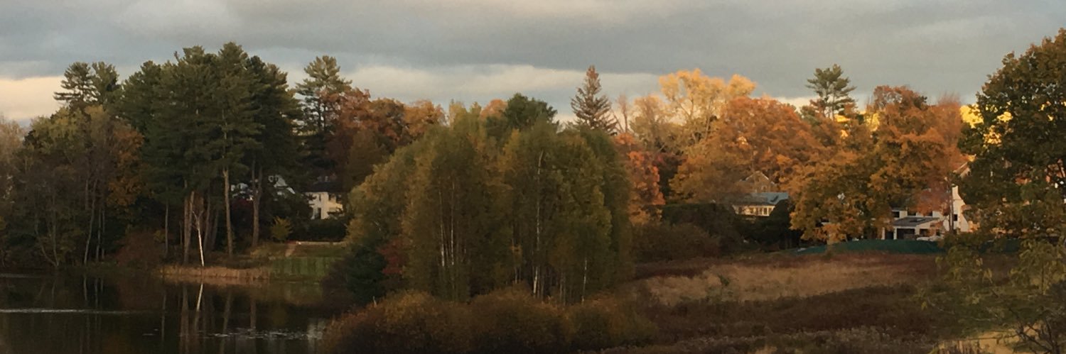 drfrances14's profile banner image
