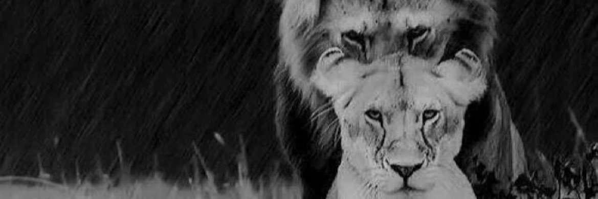 insidethesunn's profile banner image