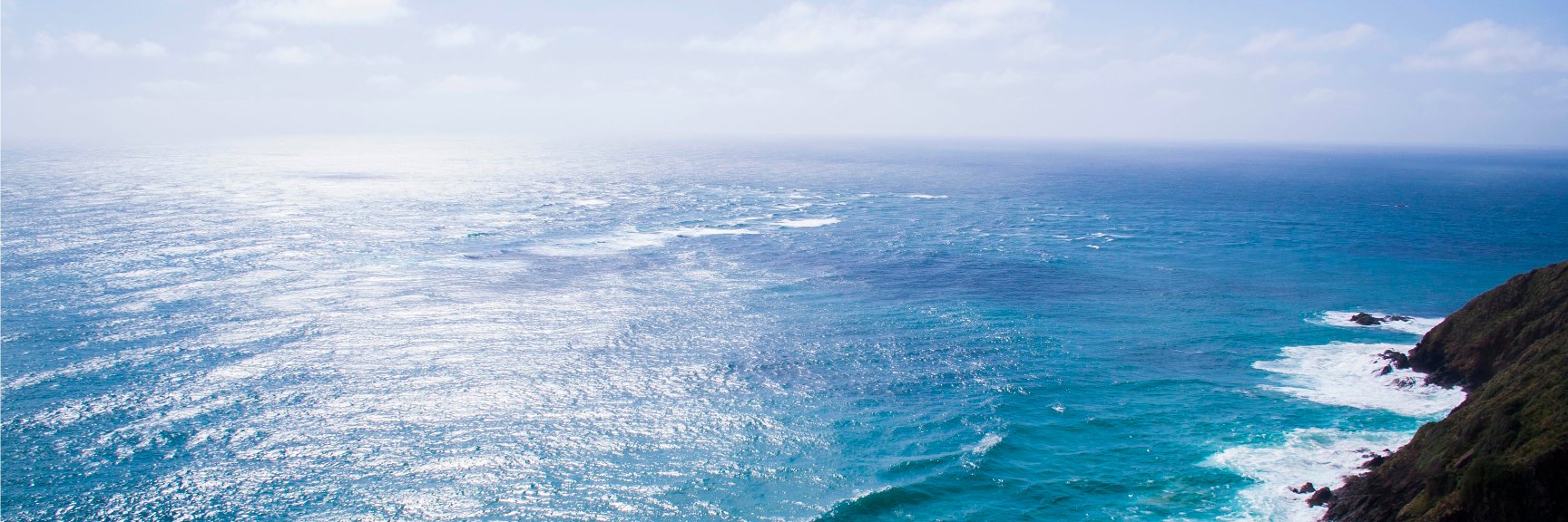 hannahhcho's profile banner image