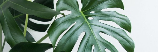 teachinginTO Profile Banner