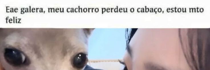 cris banner