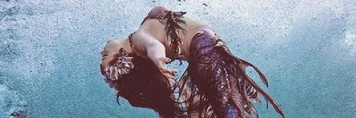 tranquilebba's profile banner image