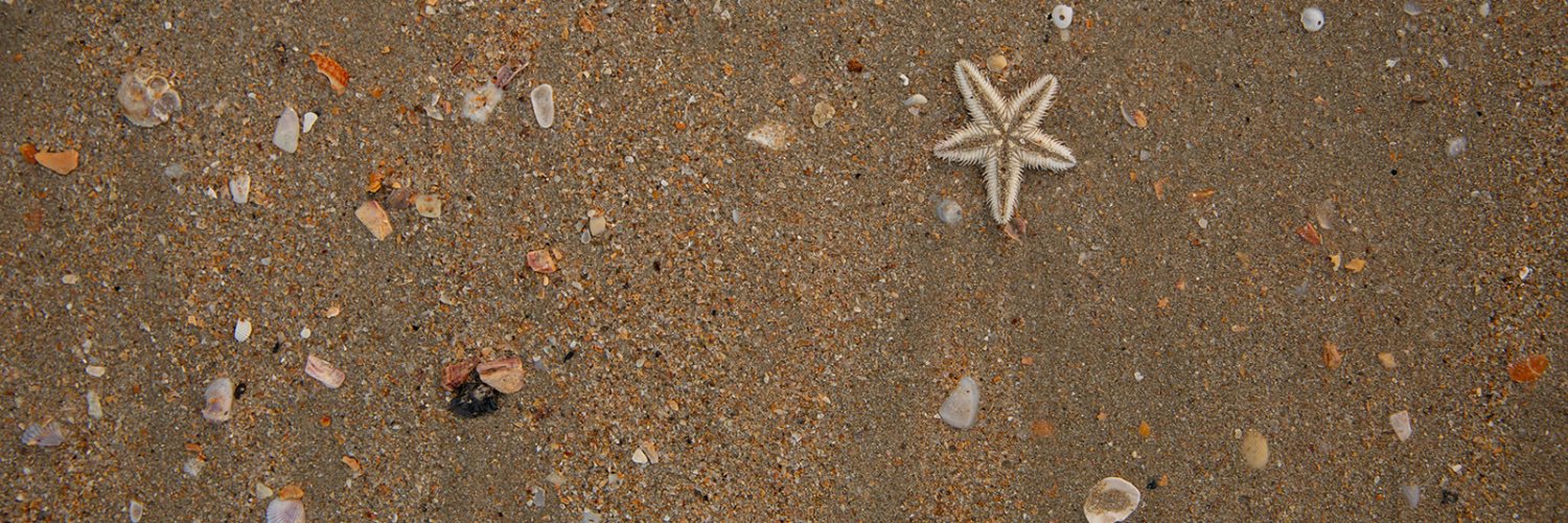 Dani Jacobson banner