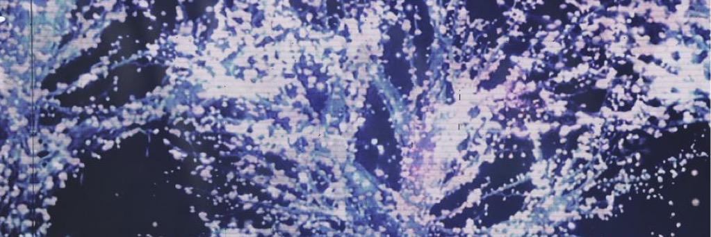 bae___k's profile banner image