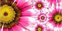 basilandchives's profile banner image