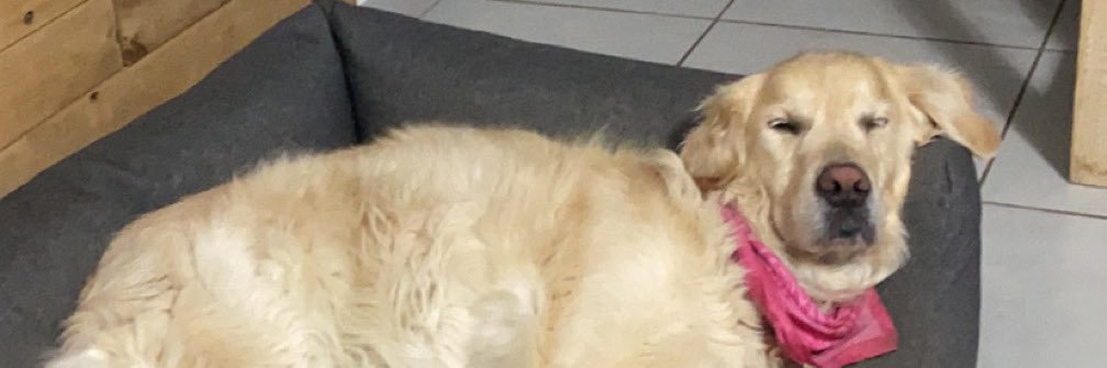 ciacia1410's profile banner image