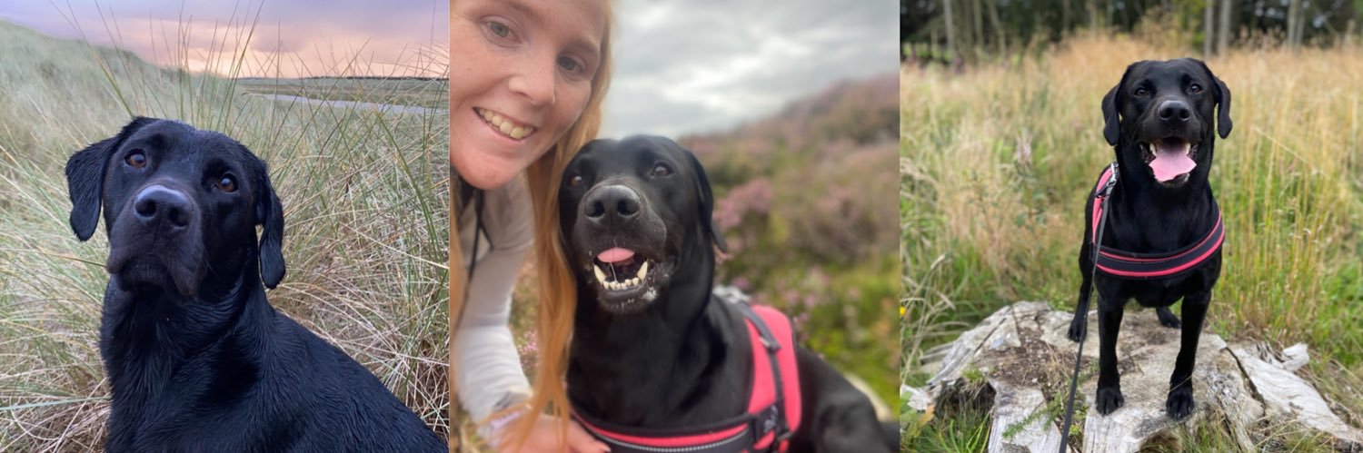 Morgan_Mair's profile banner image