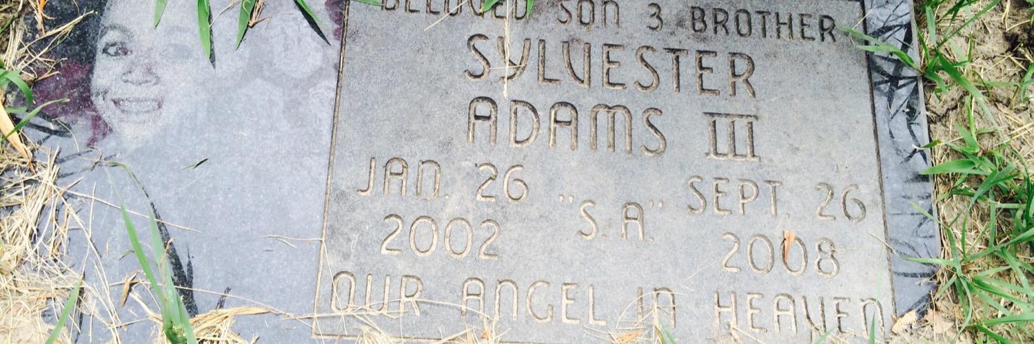 StonersWorld's profile banner image