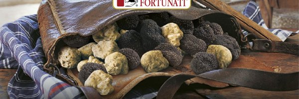 Tartufi Fortunati Profile Banner
