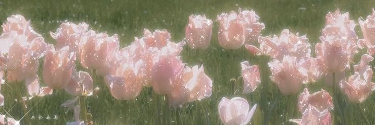 Spl2v's profile banner image