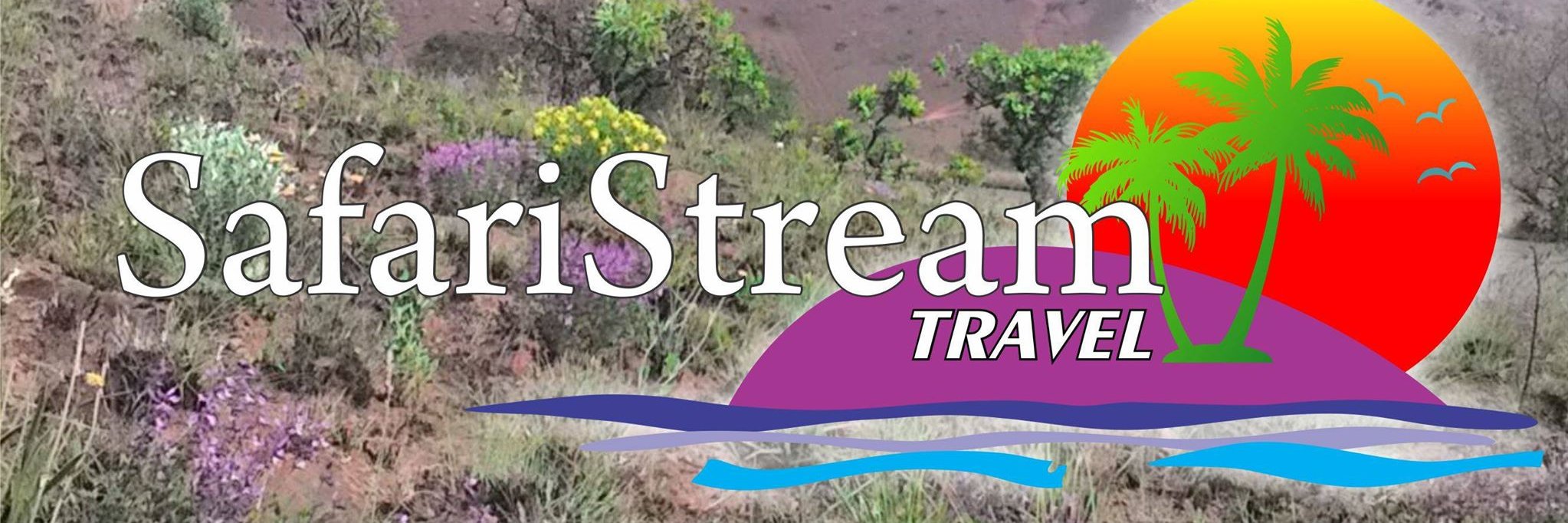 SAFARISTREAM's profile banner image