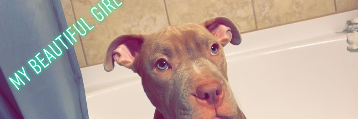 TannerOliver03's profile banner image