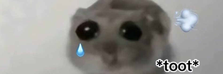 brpig16's profile banner image