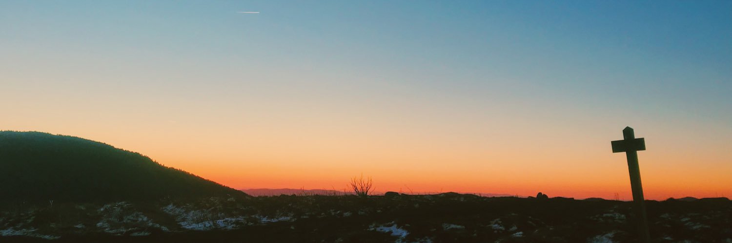 bruno_larz's profile banner image