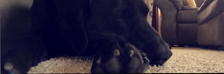 JohnZeimet's profile banner image