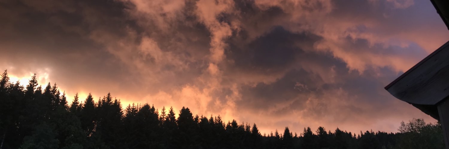 solé banner