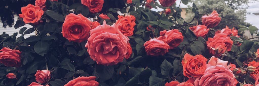 PAPI_GE_'s profile banner image