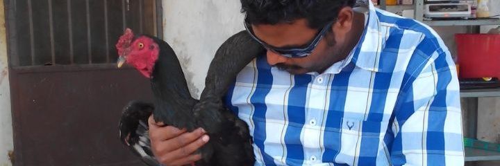 Visuvanadan's profile banner image