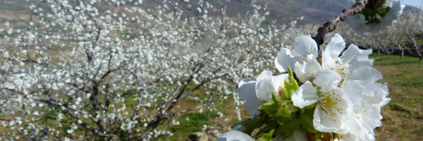 Extremadur Profile Banner