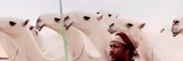 bin_soyan Profile Banner