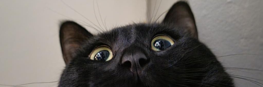 Buhrenduh428's profile banner image