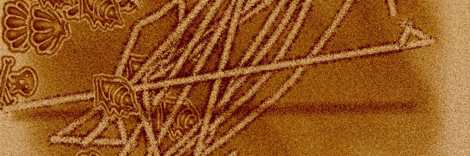 wayneBach's profile banner image