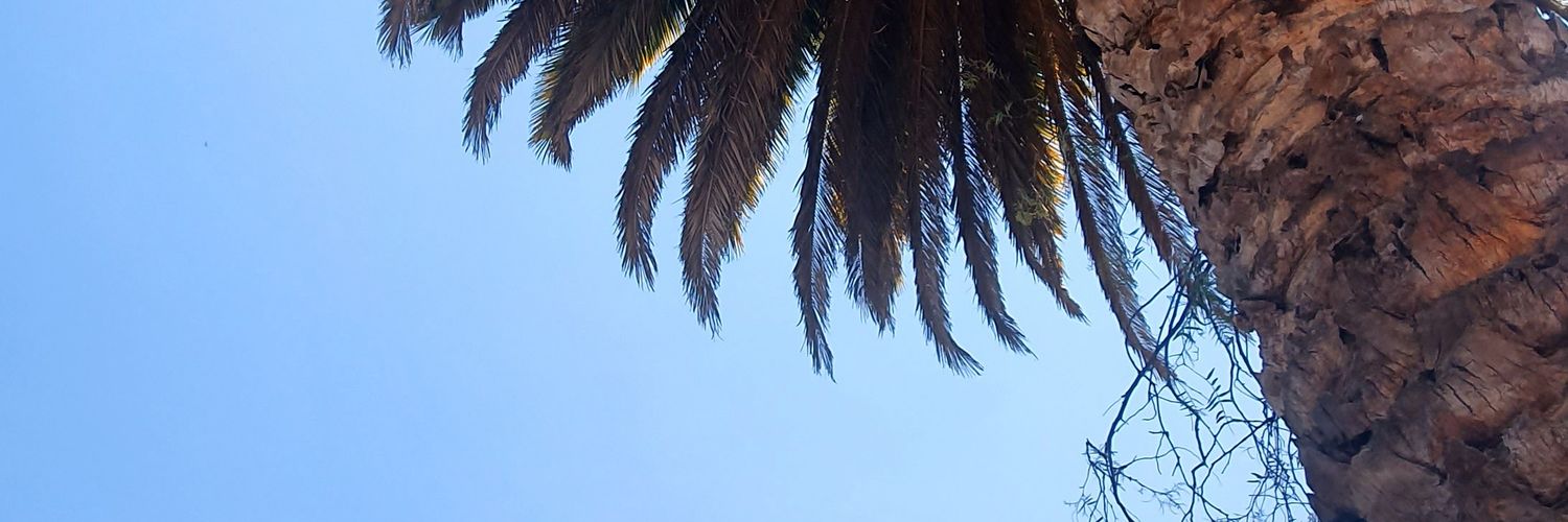 delsy_Trejo's profile banner image