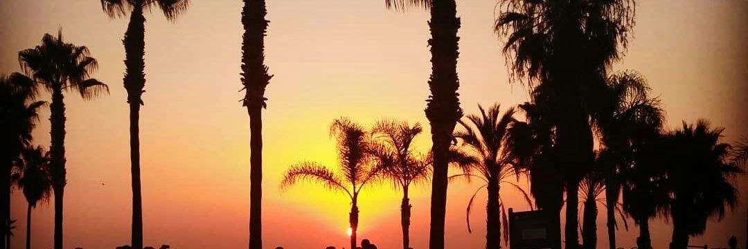 Silviaaa_4's profile banner image