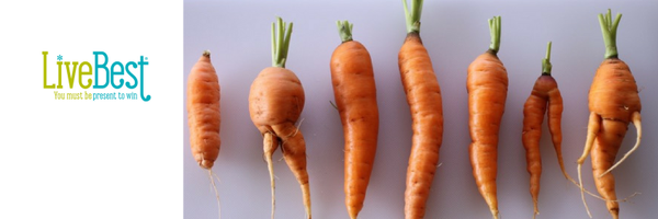 JudyBarbe Profile Banner