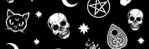 randibearr's profile banner image