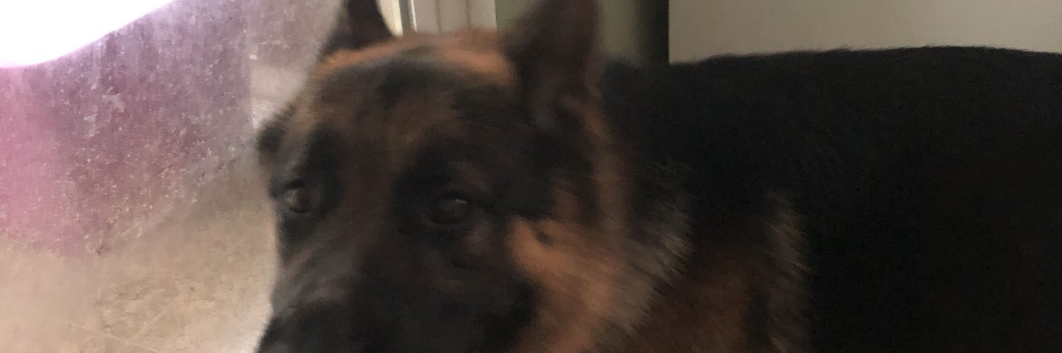 trinasmom banner