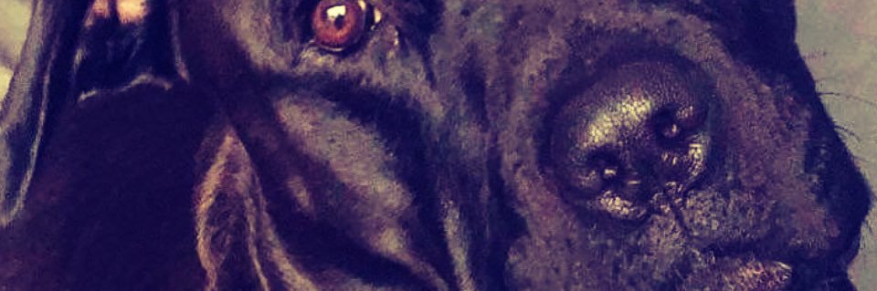 jadams1399's profile banner image
