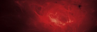 ERICA banner