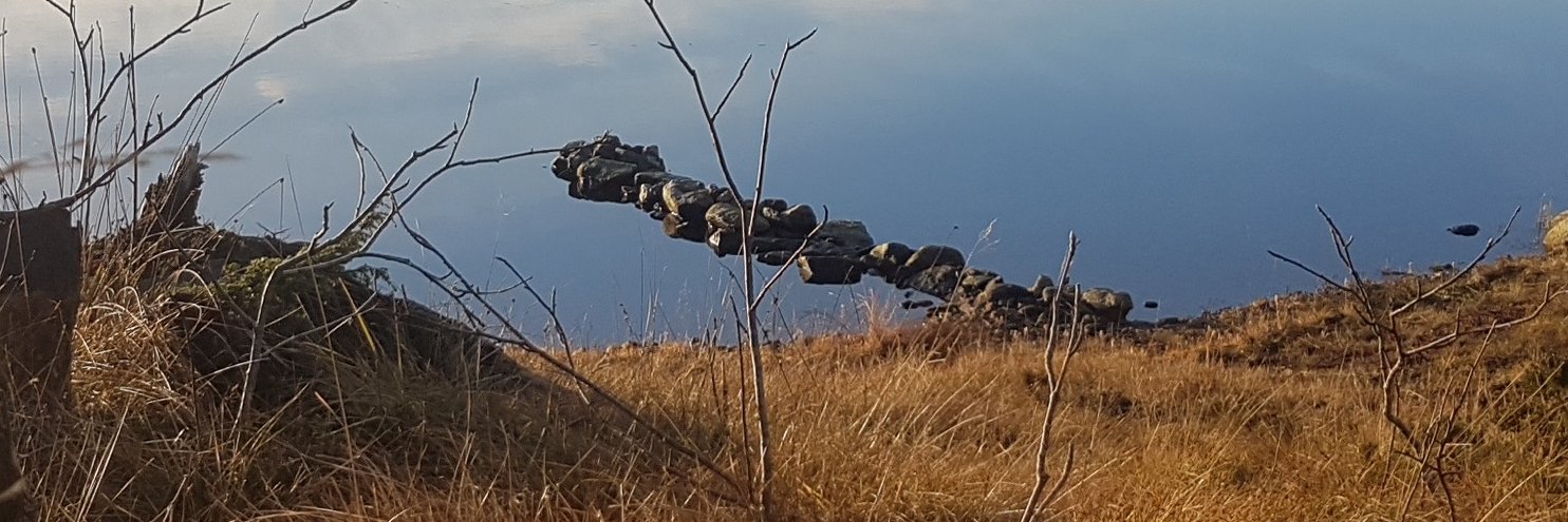 hangro1's profile banner image