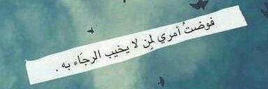 jawdat_daban's profile banner image