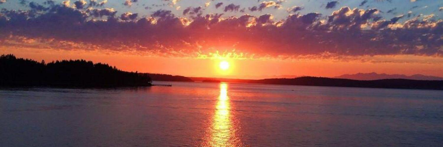 tracielafer's profile banner image