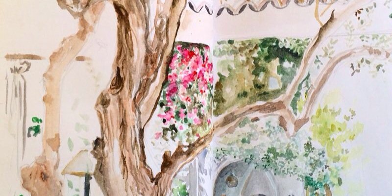 Asma Zouhir banner