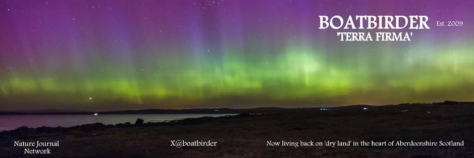 BoatBirder's profile banner image