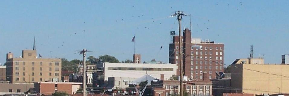 Columbia MO Buzz banner