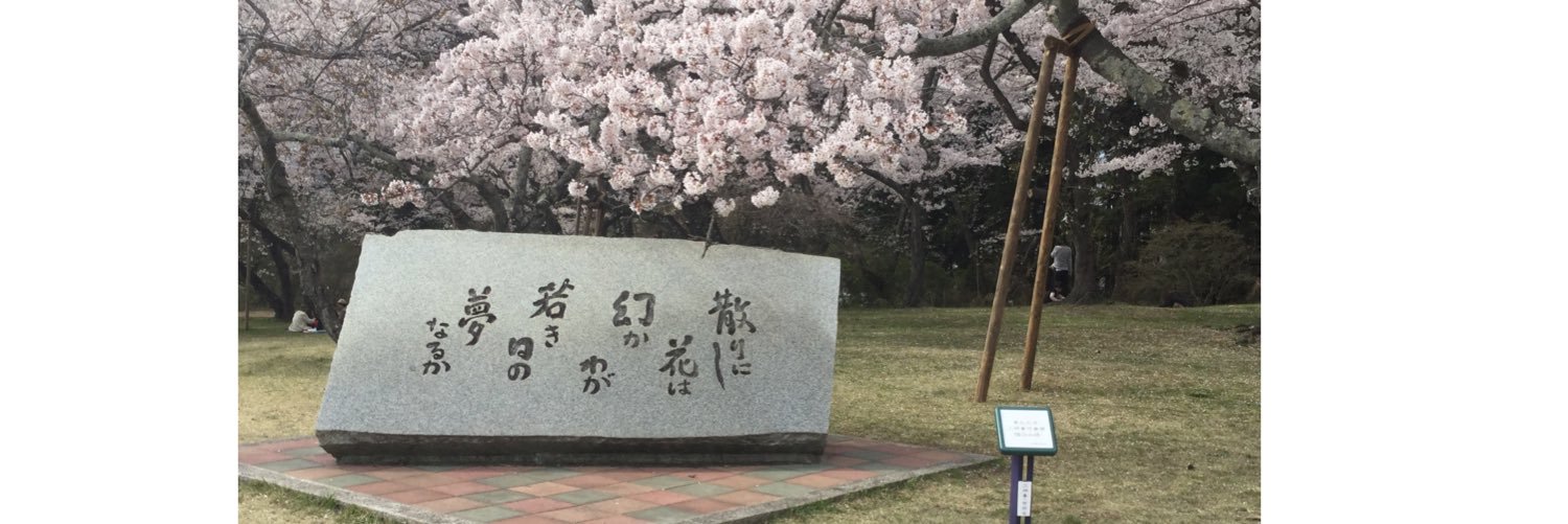 msaito777's profile banner image