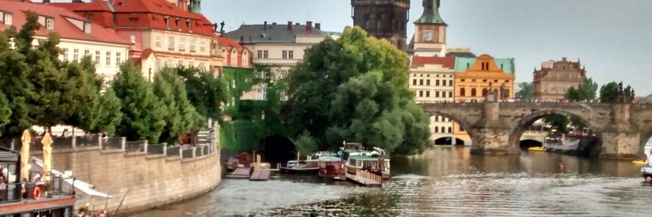 Maribel Nuñez banner