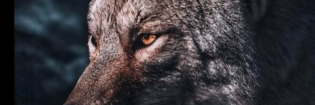 🇹🇷BuzDevri 🇹🇷 banner