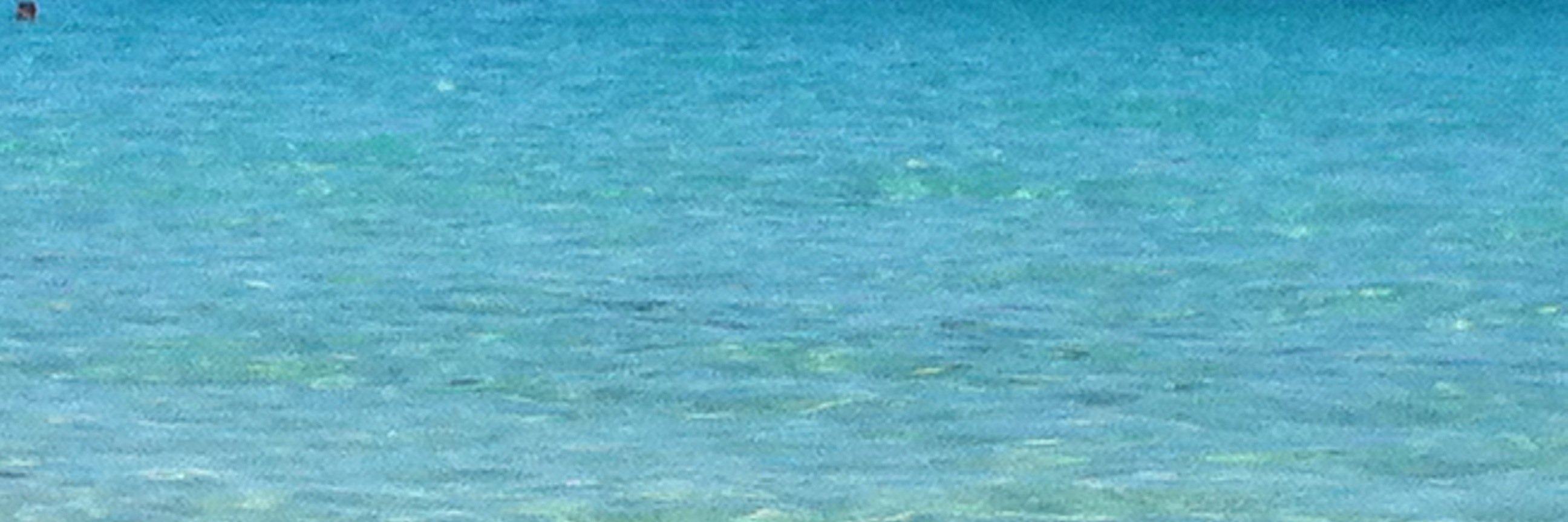 kaursule's profile banner image
