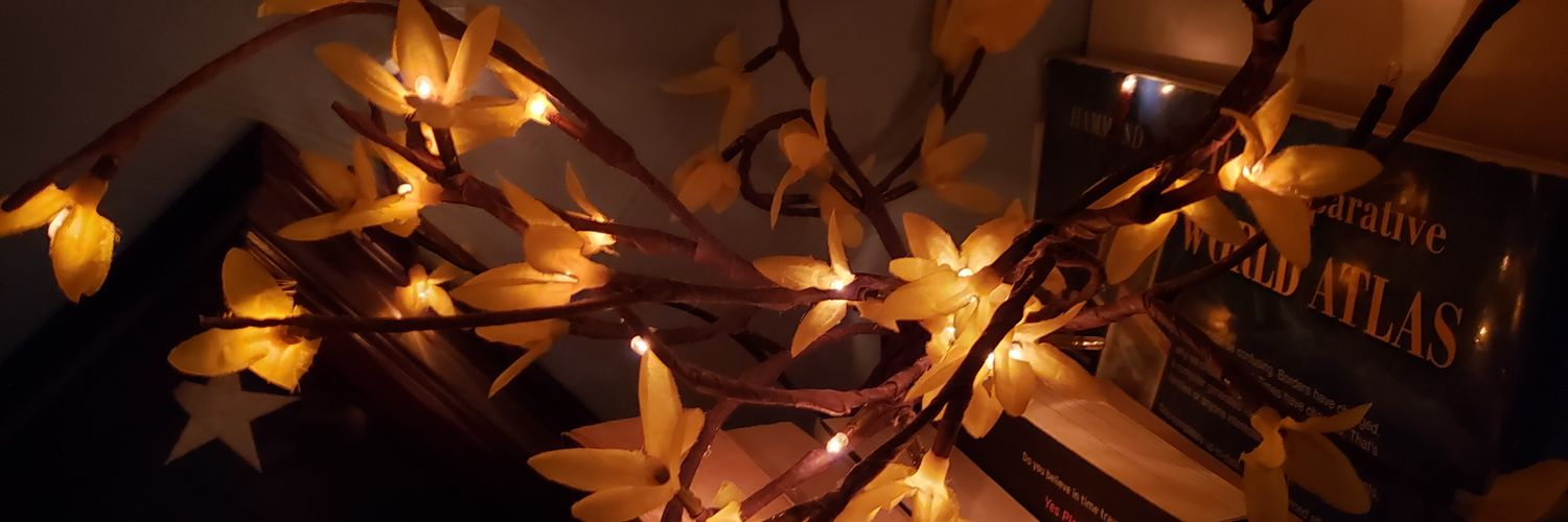 SnowAndBenadryl's profile banner image