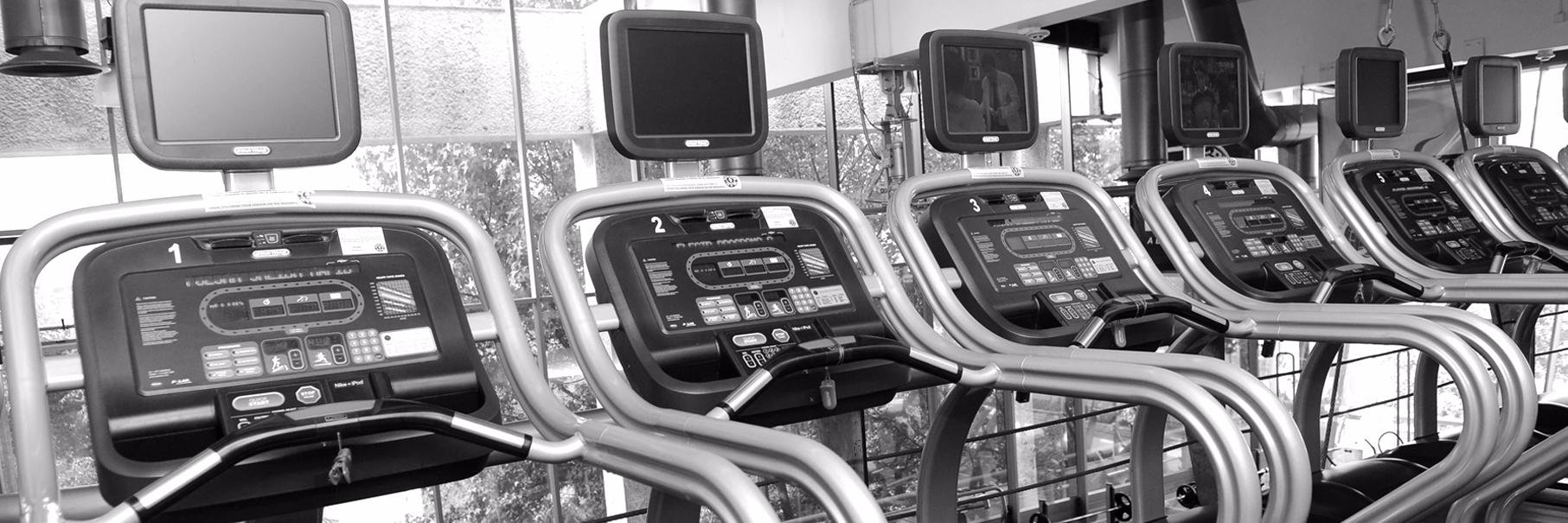 GoldsGymPolanco's profile banner image