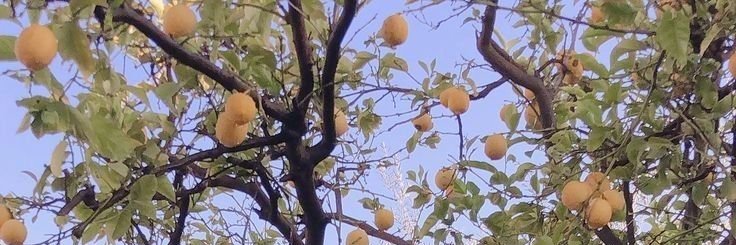 merkm99's profile banner image