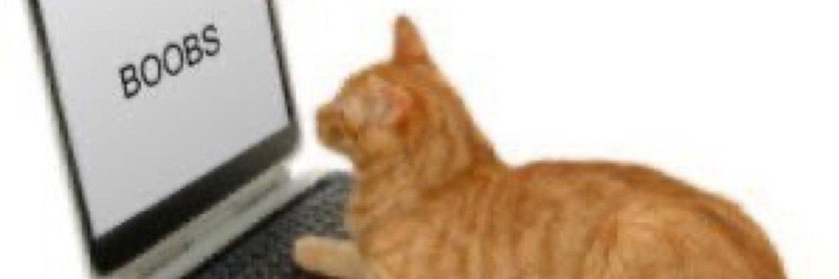 netadomujica's profile banner image