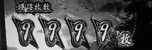 wavedoragon's profile banner image