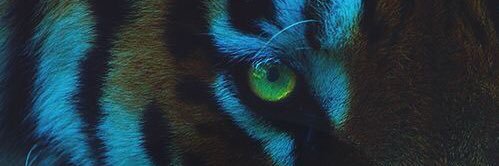 danharvman's profile banner image