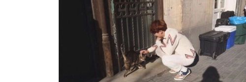 pcyzhu's profile banner image